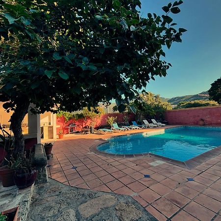 Residence Antonia Appartements Avec Piscine Commune - Centre Ville Calvi Кальви Экстерьер фото