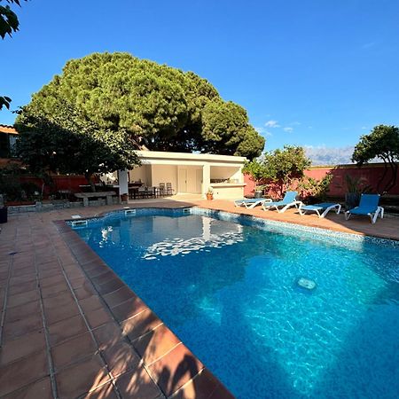 Residence Antonia Appartements Avec Piscine Commune - Centre Ville Calvi Кальви Экстерьер фото