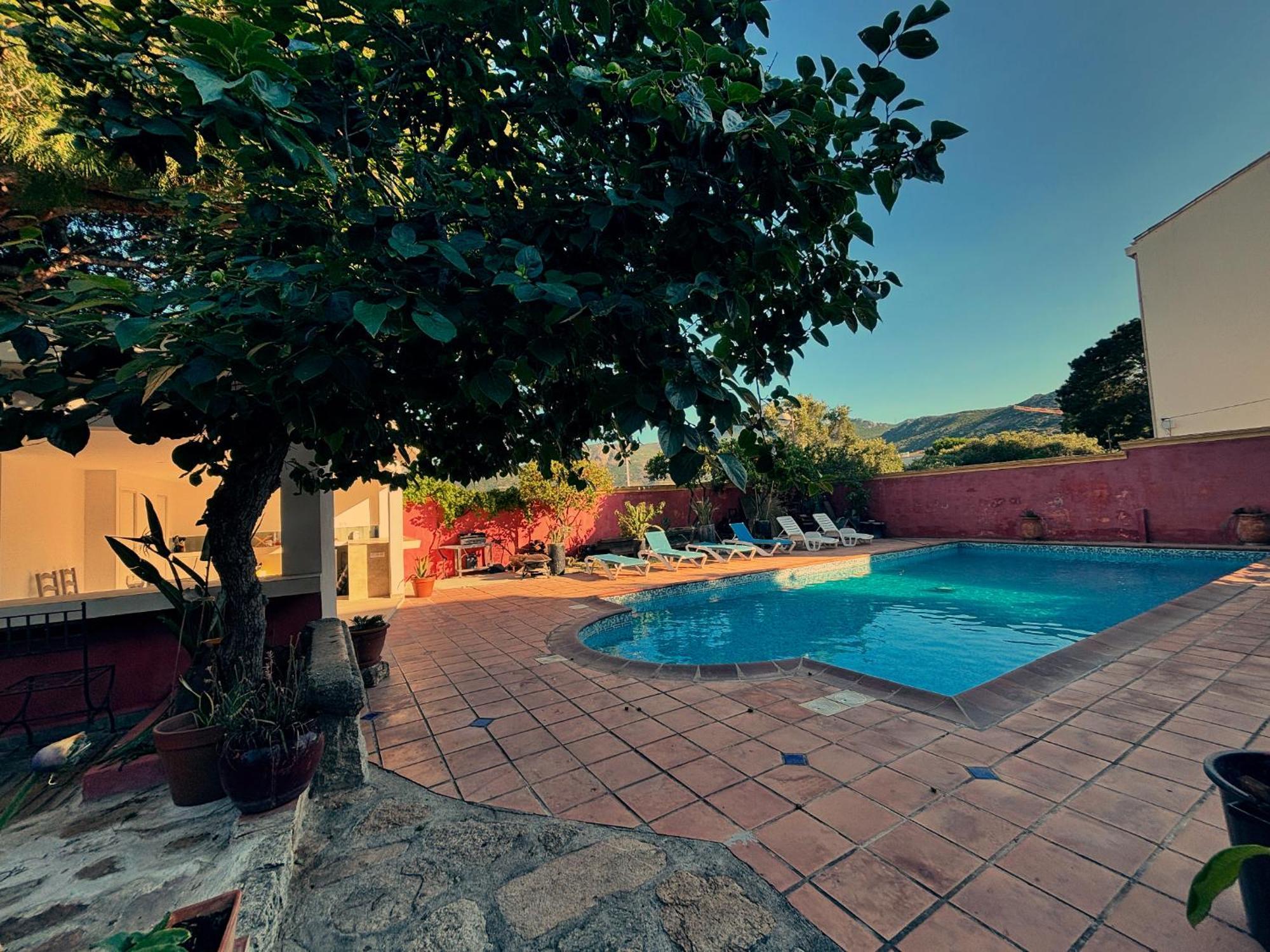 Residence Antonia Appartements Avec Piscine Commune - Centre Ville Calvi Кальви Экстерьер фото