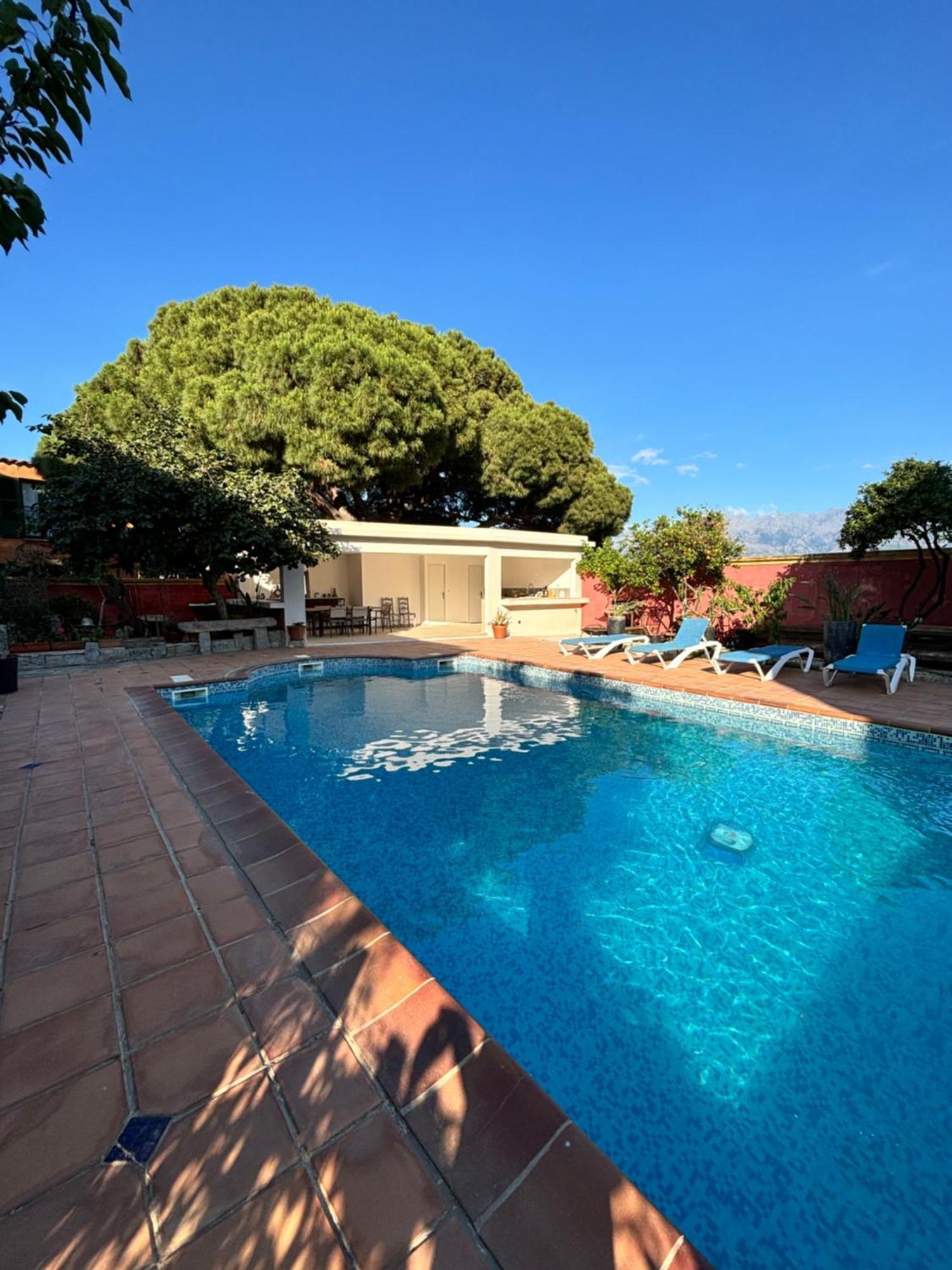 Residence Antonia Appartements Avec Piscine Commune - Centre Ville Calvi Кальви Экстерьер фото